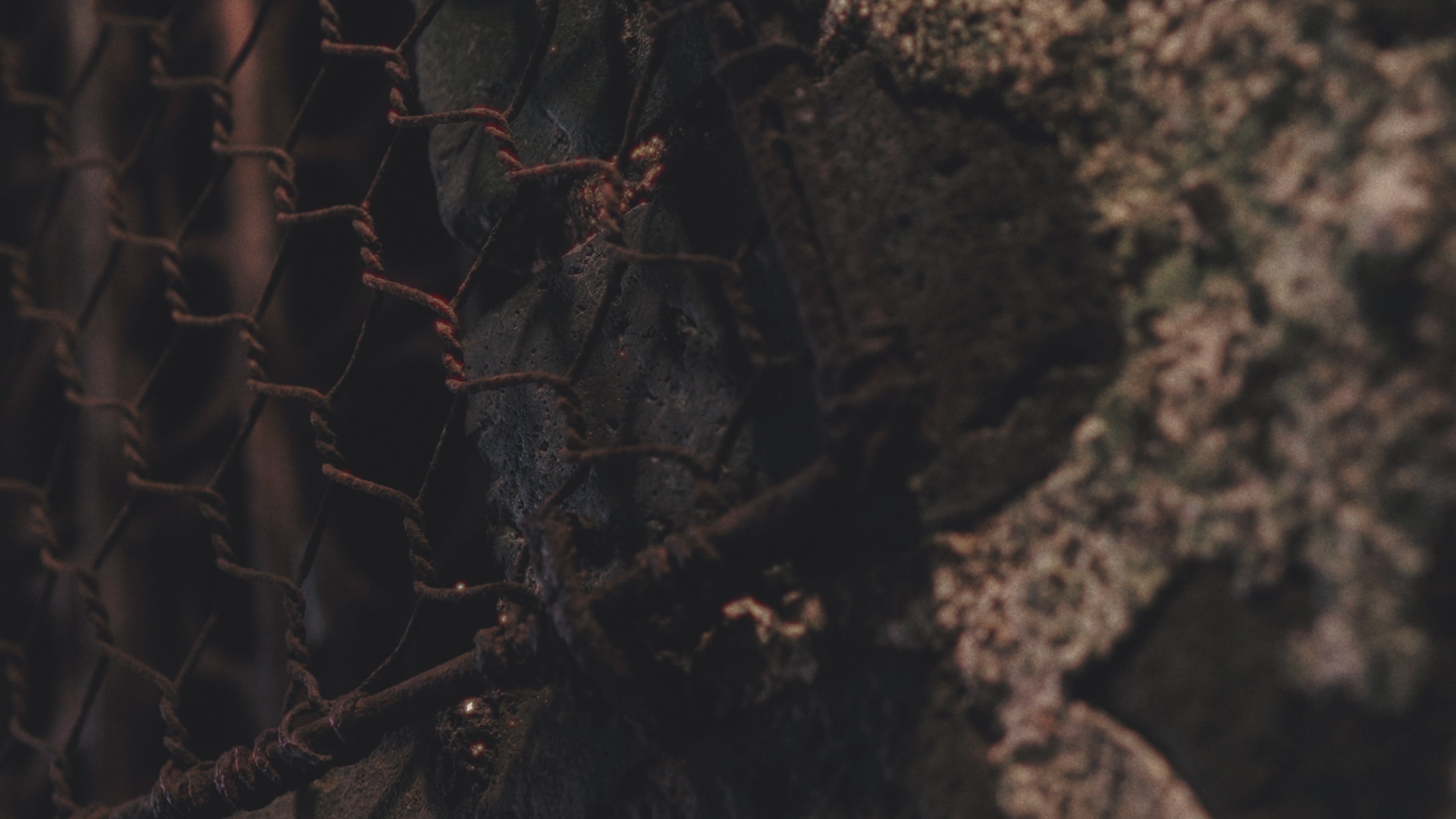 Load video: 